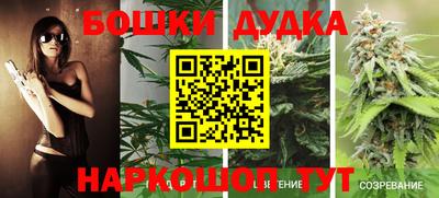 гидропоника Малгобек